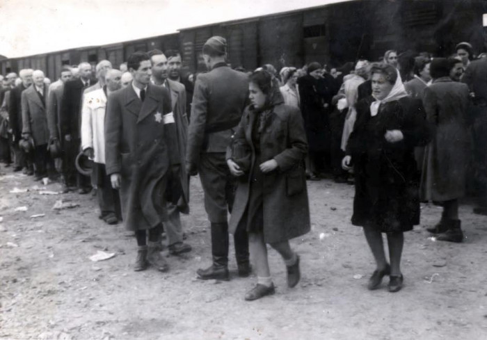 Felnőttek csoportosítása, Auschwitz-Birkenau