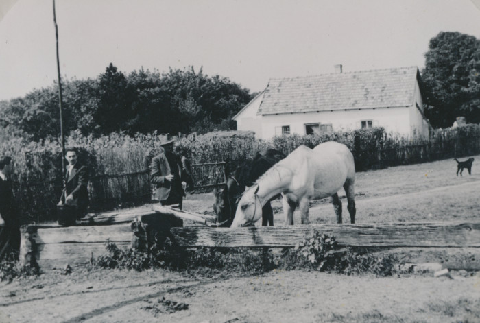 Férfiak két ivó lóval