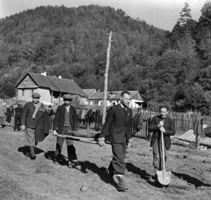 Erdélyi munkaszolgálatosok fát cipelnek